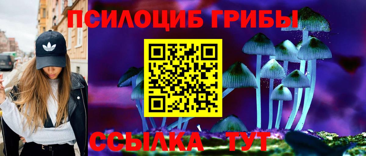 Балаково  Псилоцибиновые грибы GOLDEN TEACHER  хочу   Вход с VPN 